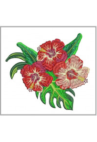 Plf032 - 5 X 7 - Hibiscus branch